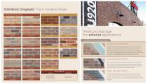 Thin Brick Quadfold Brochure - 2