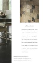 Bluestone Brochure - 3