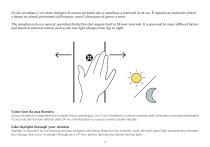 LOGICA CELATA - 12