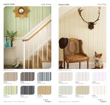 Cole &Son: Festival Stripes - 4