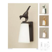 Outdoor-2021-11