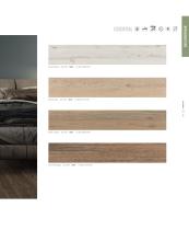 NOVELTIES 2019-30