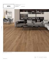 NOVELTIES 2019-31