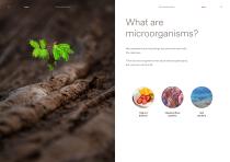 Antibacterial properties-2