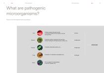 Antibacterial properties-3