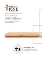 THERMOPINE - 8