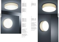 Big Lights-14