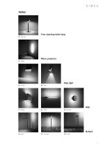 MICROLIGHTING 2020-2