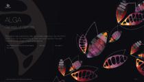 Lightness-9