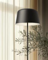 Linealight Collection Volume 1-21