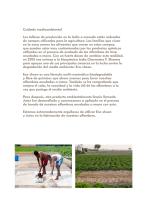 nanimarquina-13