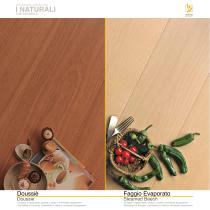 COLLECTION-6