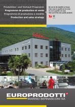 Production and sales strategy-1