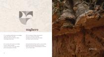 materia-viva_brochure_01_render_compressed-11