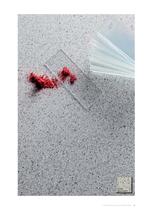 Formica® Collection Laboratories-11