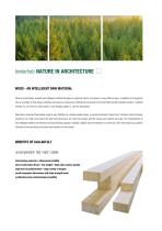 GLULAM GLT-2
