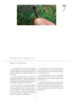 Brochure-6
