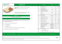 Lariphon ECO Light-2