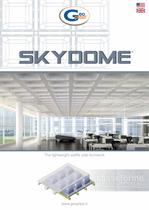 Skydome