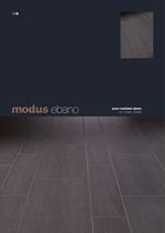 MODUS - 20