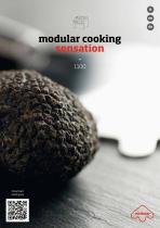 modular cooking sensation - 1100 - 1