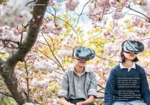Issue 22/2019-6