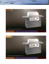 Fire Magic Premium Barbecue Grills-13