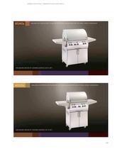 Fire Magic Premium Barbecue Grills-25