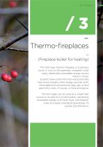 Thermo-fireplace - 9