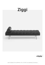 Ziggi-1