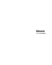 Bloom-2