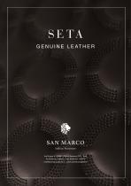 SETA _ GENUINE LEATHER - 1