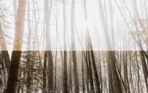 catalogue 2018-19-12