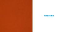 VARASCHIN cat Edition 26 LowRes-2