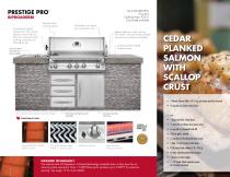 Built-in Grills Brochure - 4