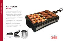 TravelQ Portable Gas Grill - 6