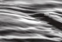 Vela - everything flows-2
