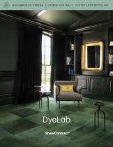 DyeLab-1