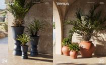 VONDOM_GREEN-14