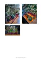 Cacti Furniture series-7