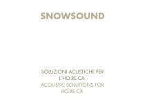 ACOUSTIC SOLUTIONS-2
