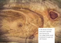 Rüegg Inspirations-21