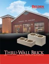 Thru-Wall Brick - 1