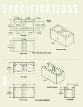 Thru-Wall Structural Brick - 6