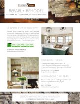 REPAIR + REMODEL-1