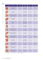 CERAMIC ROOF TILE AND ACCESSORIES-10