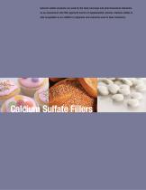 USG Calcium Sulfate Filler - 2