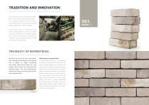 Waterstruck bricks - 2