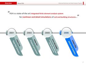 FEA description - 3
