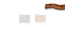 THIRT IETH ANNIVERSARY BOOK 2-2
